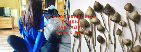 прущие крисы Абдулино