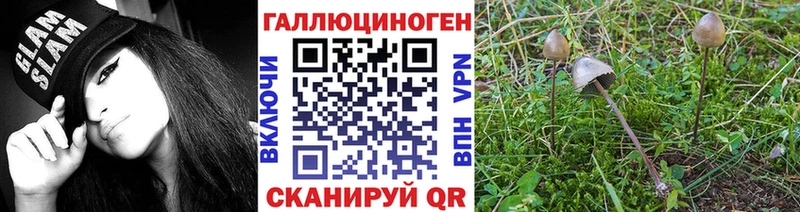 наркошоп Орёл Псилоцибиновые грибы MAGIC MUSHROOMS